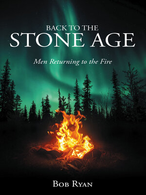 cover image of Back to the Stone Age